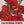 Red Chief California Poppy Seeds For Planting (Eschscholzia californica)