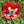 Danish Flag Poppy Seeds For Planting (Papaver somniferum)