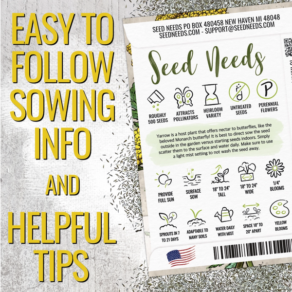 Gold Yarrow Seeds For Planting (Achillea filipendulina)