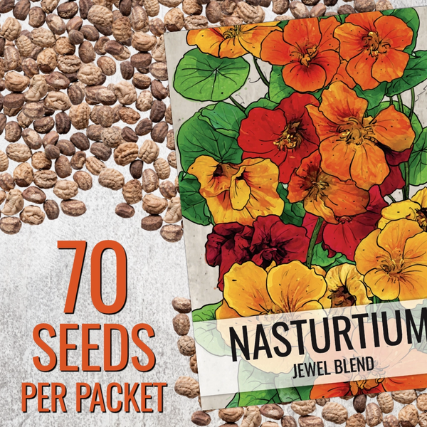 Jewel Mixture Nasturtium Seeds For Planting (Tropaeolum nanum)