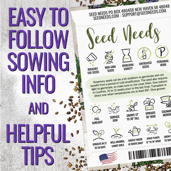 Rosemary Herb Seeds For Planting (Rosemarinus officinalis)