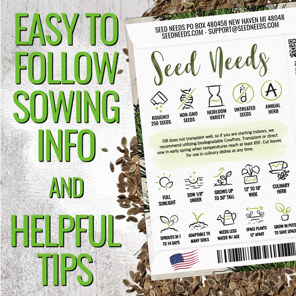 Dill Herb Seeds For Planting (Anethum graveolens)
