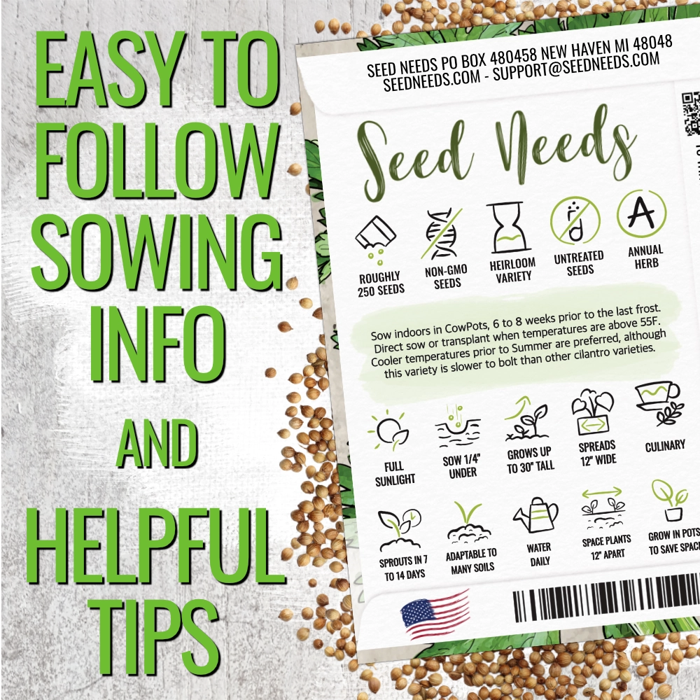 Cilantro Herb Seeds For Planting (Coriandrum sativum)