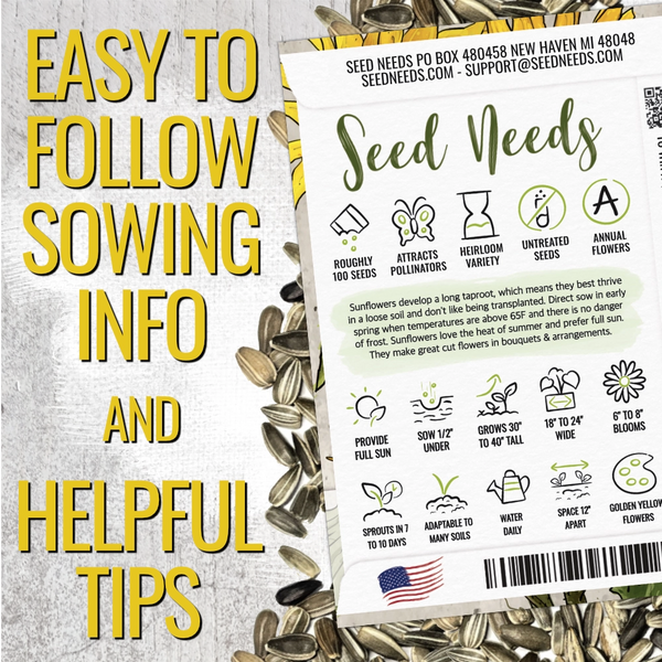 Incredible Dwarf Sunflower Seeds For Planting (Helianthus annuus)