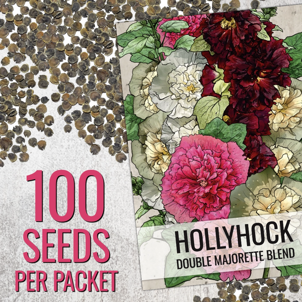 Double Majorette Hollyhock Mixture (Alcea rosea)