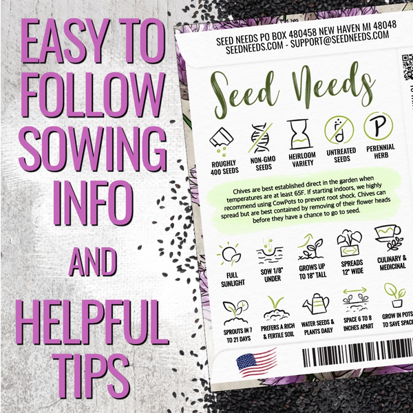 Common Chives Herb Seeds For Planting (Allium schoenoprasum)