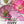 Shirley Poppy Seeds For Planting (Papaver rhoeas)