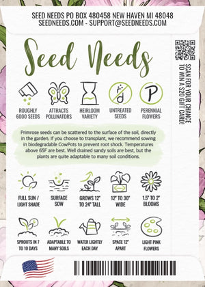 Showy Evening Primrose Seeds For Planting (Oenothera speciosa)