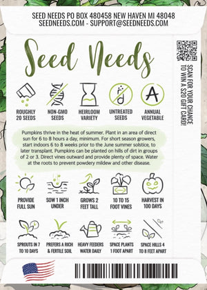 Blue Jarrahdale Pumpkin Seeds For Planting (Cucurbita maxima)