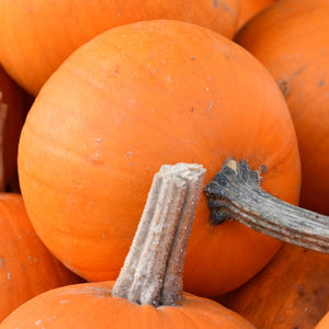 Wee B Little Pumpkin Seeds For Planting (Cucurbita pepo)
