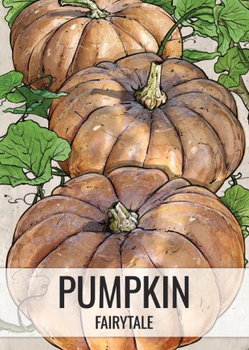 Fairytale Pumpkin Seeds For Planting (Cucurbita moschata)