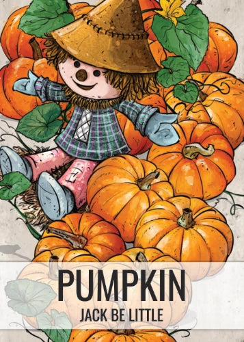 Jack Be Little Pumpkin Seeds For Planting (Cucurbita pepo)