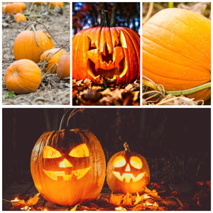 Jack O Lantern Pumpkin Seeds For Planting (Cucurbita pepo)