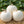 Casper Pumpkin Seeds For Planting (Cucurbita pepo)