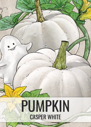 Casper Pumpkin Seeds For Planting (Cucurbita pepo)