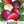 Easter Egg Radish Seeds For Planting (Raphanus sativus)