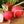 German Giant Radish Seeds For Planting (Raphanus sativus)