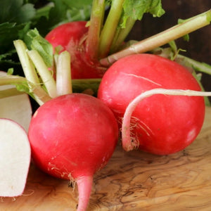 German Giant Radish Seeds For Planting (Raphanus sativus)