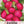 German Giant Radish Seeds For Planting (Raphanus sativus)