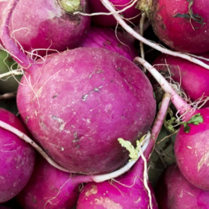 Purple Plum Radish Seeds For Planting (Raphanus sativus)