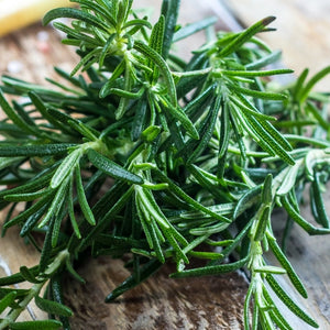 Rosemary Herb Seeds For Planting (Rosemarinus officinalis)