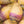 Purple Top Rutabaga Seeds For Planting (Brassica napus)