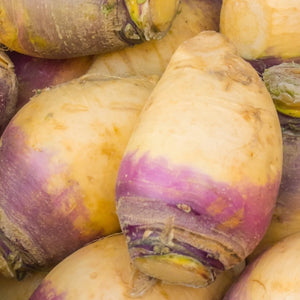 Purple Top Rutabaga Seeds For Planting (Brassica napus)