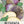 Purple Top Rutabaga Seeds For Planting (Brassica napus)