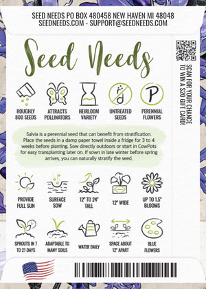 Sapphire Sage Seeds For Planting / Sapphire Salvia (Salvia farinacea)