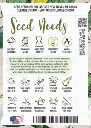 Black Beauty Zucchini, Summer Squash Seeds For Planting (Cucurbita pepo)