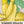 Early Prolific Straightneck Summer Squash Seeds For Planting (Cucurbita pepo)