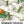 Early White Scallop Summer Squash Seeds For Planting (Cucurbita pepo)