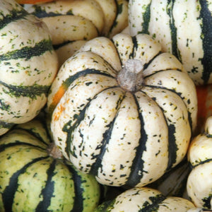 Sweet Dumpling Winter Squash Seeds For Planting (Cucurbita pepo)