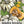 Sweet Dumpling Winter Squash Seeds For Planting (Cucurbita pepo)