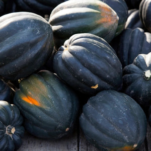 Table King Acorn Winter Squash Seeds For Planting (Cucurbita pepo)