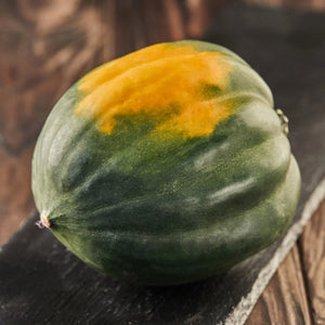 Table Queen Acorn Winter Squash Seeds For Planting (Cucurbita pepo)