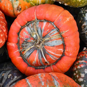 Turk's Turban Winter Squash Seeds For Planting (Cucurbita maxima)
