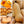 Waltham Butternut Winter Squash Seeds For Planting (Cucurbita pepo)