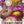 Strawflower Seed Mixture (Helichrysum bracteatum)