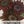 Chocolate Cherry Sunflower Seeds For Planting (Helianthus annuus)