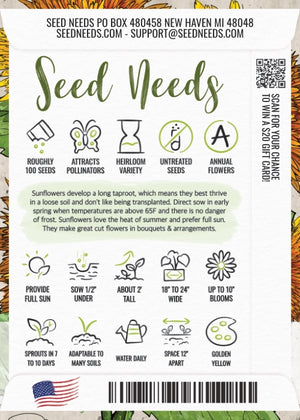 Dwarf Teddy Sunflower Seeds For Planting (Helianthus annuus)