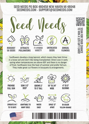 Firecracker Sunflower Seeds For Planting (Helianthus annuus)