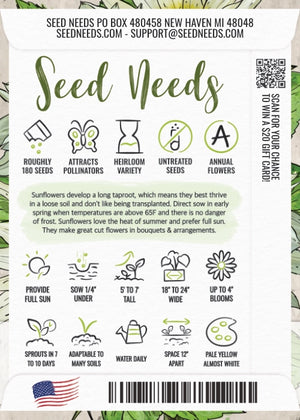 Italian White Sunflower Seeds For Planting (Helianthus annuus)