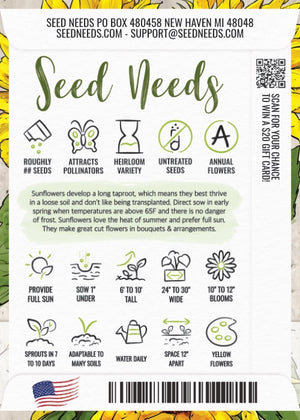 Mammoth Grey Stripe Sunflower Seeds For Planting (Helianthus annuus)