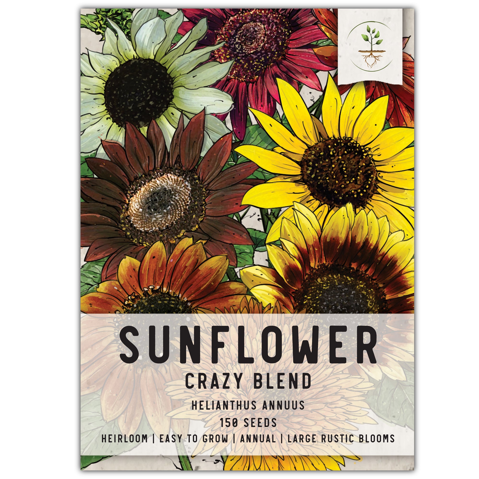 Crazy Mixed Sunflower Seeds For Planting (Helianthus annuus) 15+ Varieties