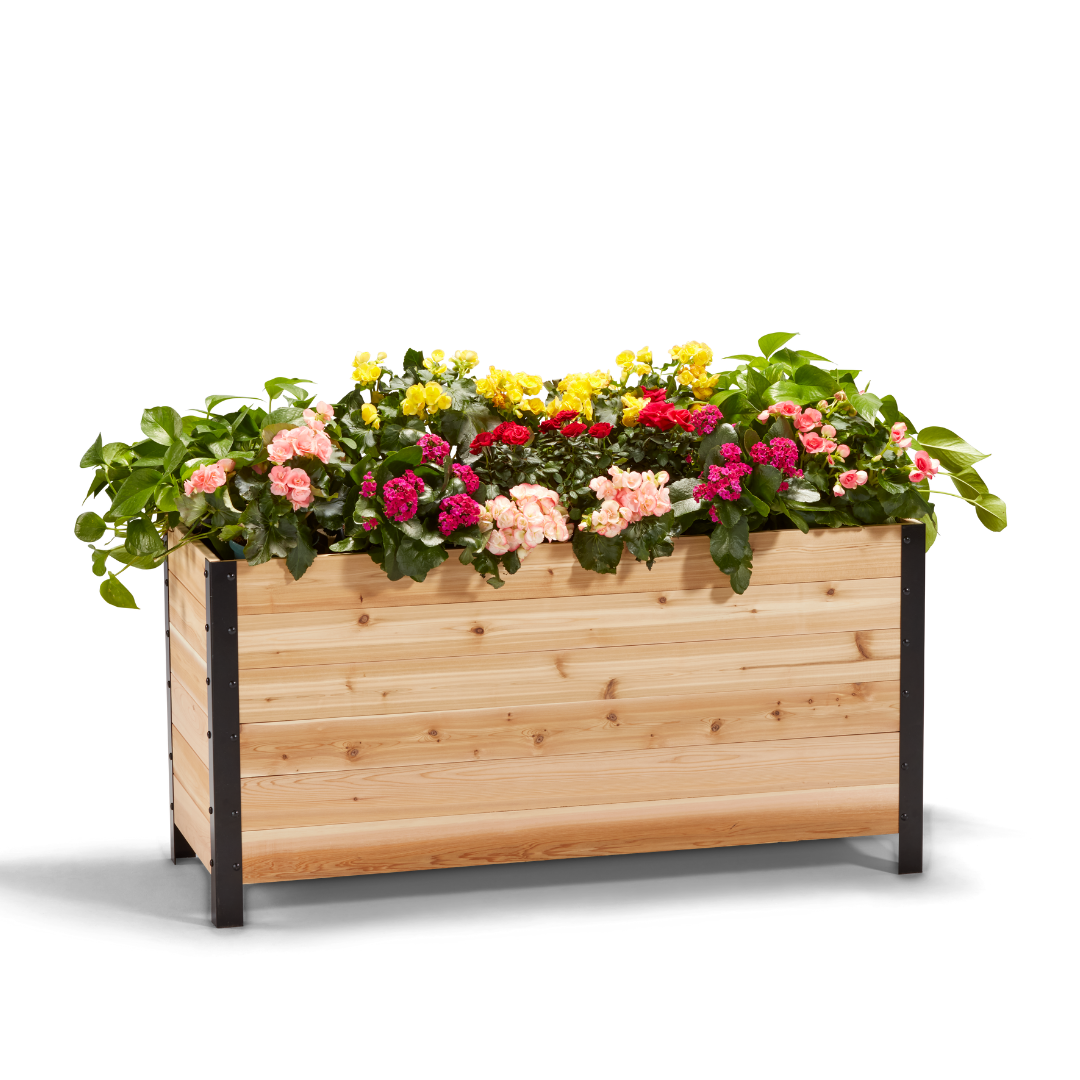 Cedar Planters Planter Box