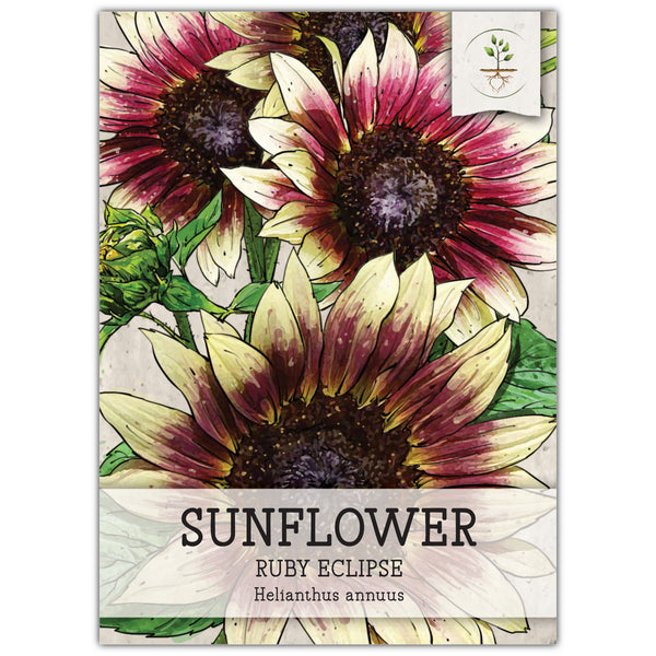 Ruby Eclipse Sunflower Seeds For Planting (Helianthus annuus)