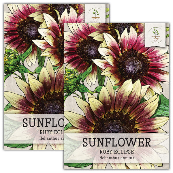 Ruby Eclipse Sunflower Seeds For Planting (Helianthus annuus)