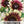 Ruby Eclipse Sunflower Seeds For Planting (Helianthus annuus)