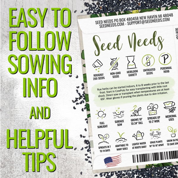 Rue Herb Seeds For Planting (Ruta graveolens)